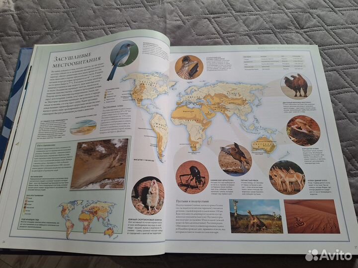 Иллюстрированный атлас животный мир