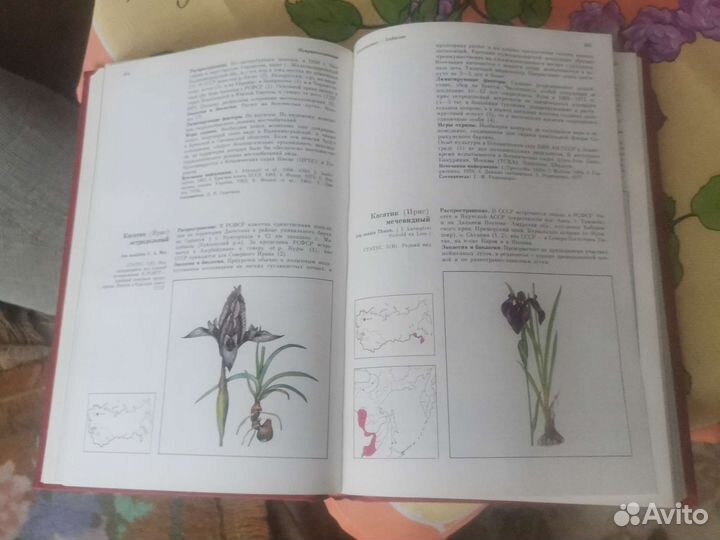 Красная книга РСФСР