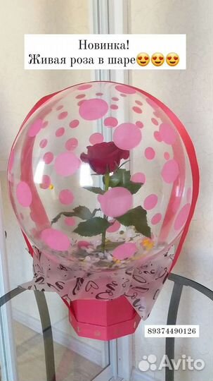Роза в шаре