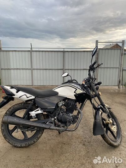 Racer Tiger 150-23