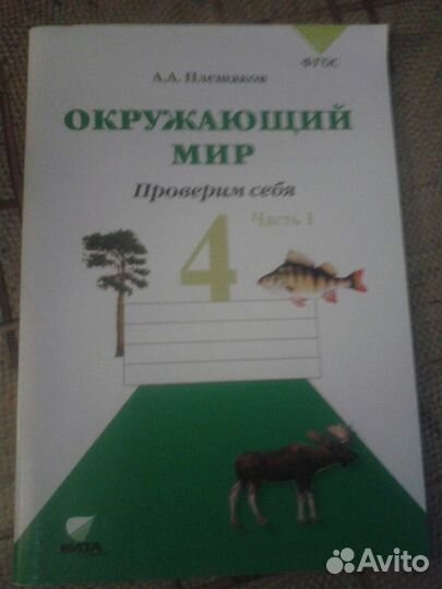 Окружающий мир 4 класс Проверим себя Плещаков