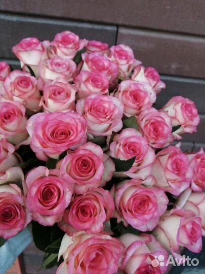 Букет 51 роза/101 роза