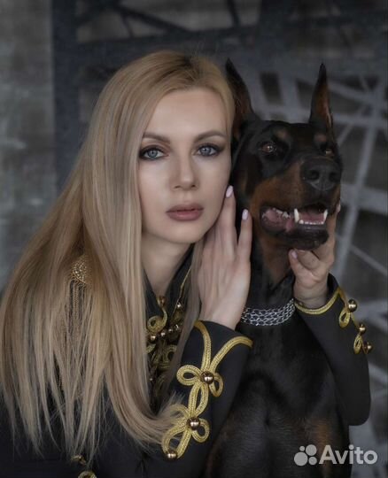 Фотосессия с доберманом