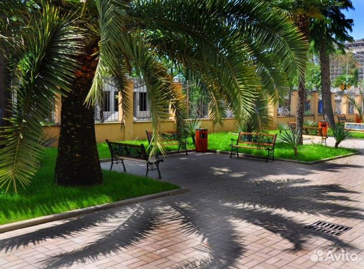 Абхазия Гагра на семью два взрослых и два ребенка