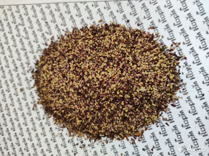 Семена Люцерны