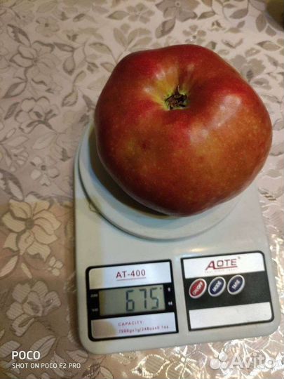 Экоудобрение Гумин от Вертера