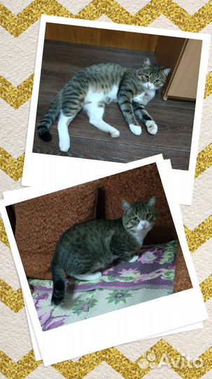 В ответственные руки