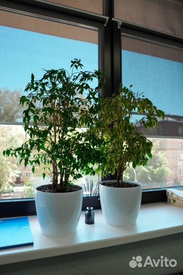 Налоговой вычет. Возврат налога. 3-НДФЛ