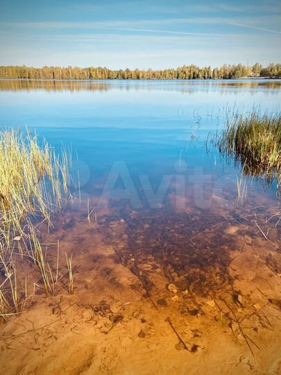 Участок 15 сот. (ИЖС)