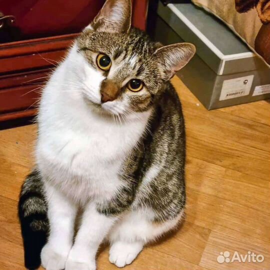 Стеша, милое создание ищет чуткое сердце