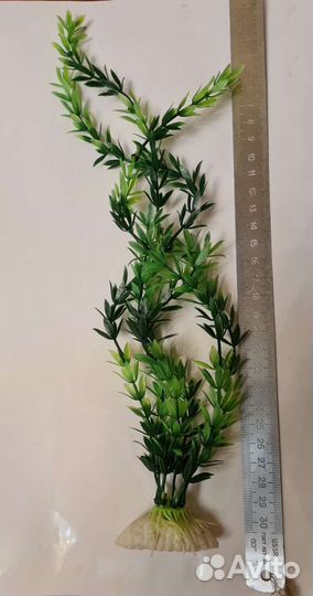 Искусственные водоросли, новые