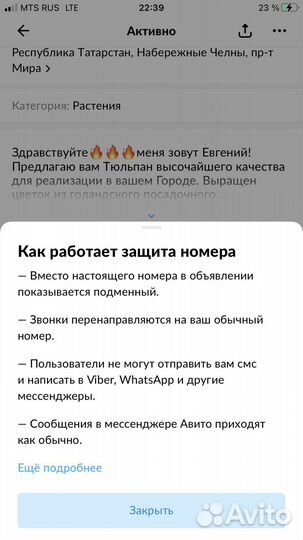 Тюльпаны оптом от производителя