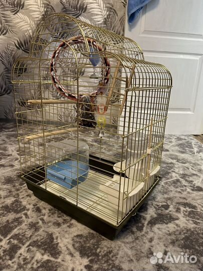Клетка для попугая