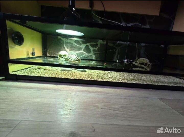 Террариум для рептилий