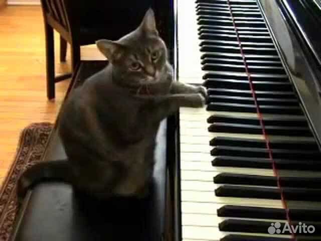 Репетитор по фортепиано