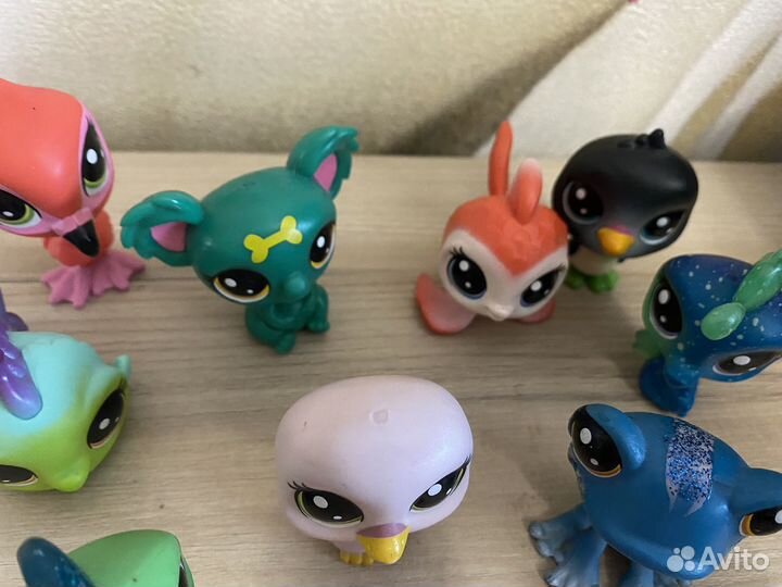 Littlest Pet Shop