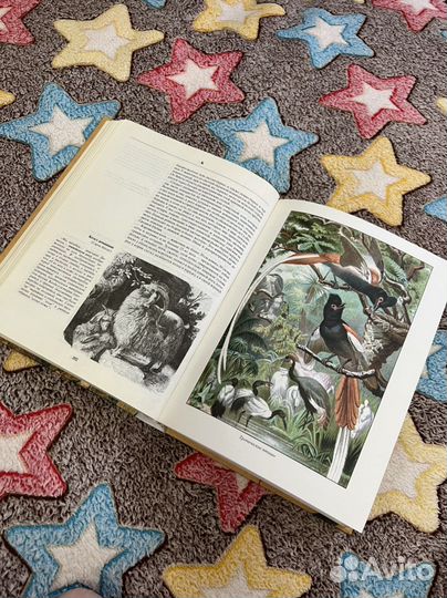 Книга Альфред Брем «Жизнь Животных»