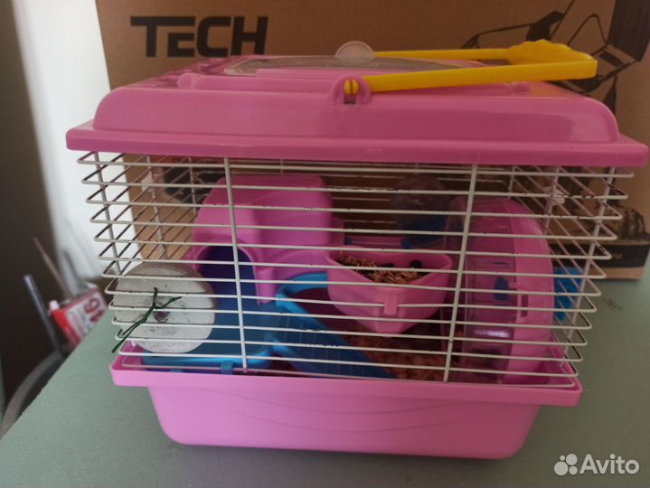 Джунгарский хомяк с клеткой