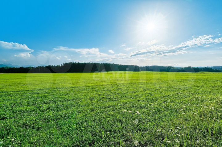 Участок 52,5 сот. (СНТ, ДНП)