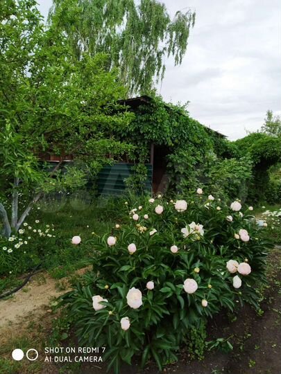 Дача 42 м² на участке 6 сот.