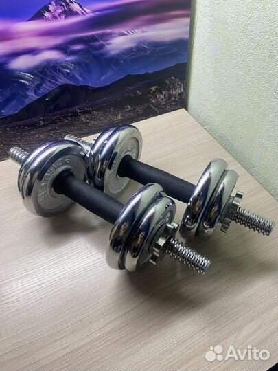 Гантели разборные