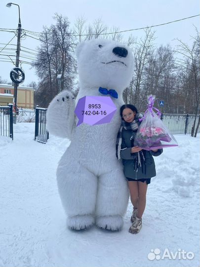 Белый Мишка поздравление. Ростовые куклы, аренда
