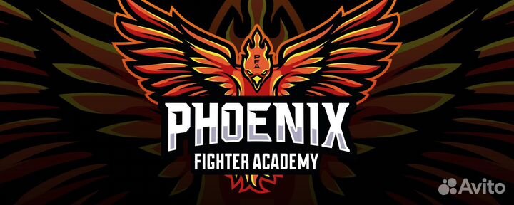 Бокс,Кэмпо-MMA,Дзюдо, Самбо, борьба