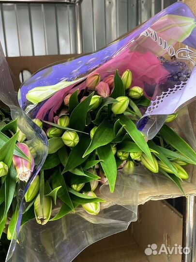 Лилия под заказ букет корзина коробка доставка