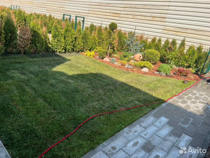 Натуральный рулонный газон