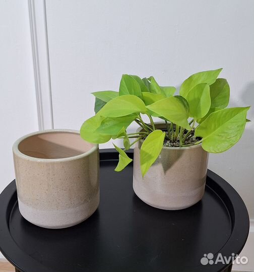 Кашпо для цветов