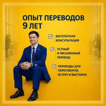 Переводчик с китайского языка + консультация