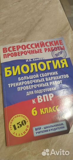 ВПР экзамен 6 класс