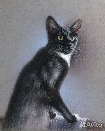 Портрет вашего питомца по фото на заказ