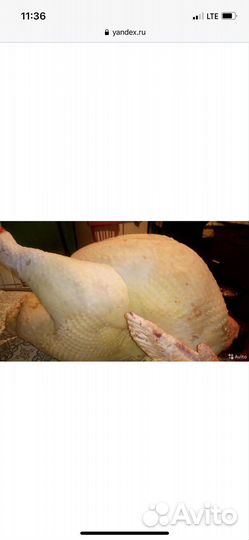 Мясо индюка