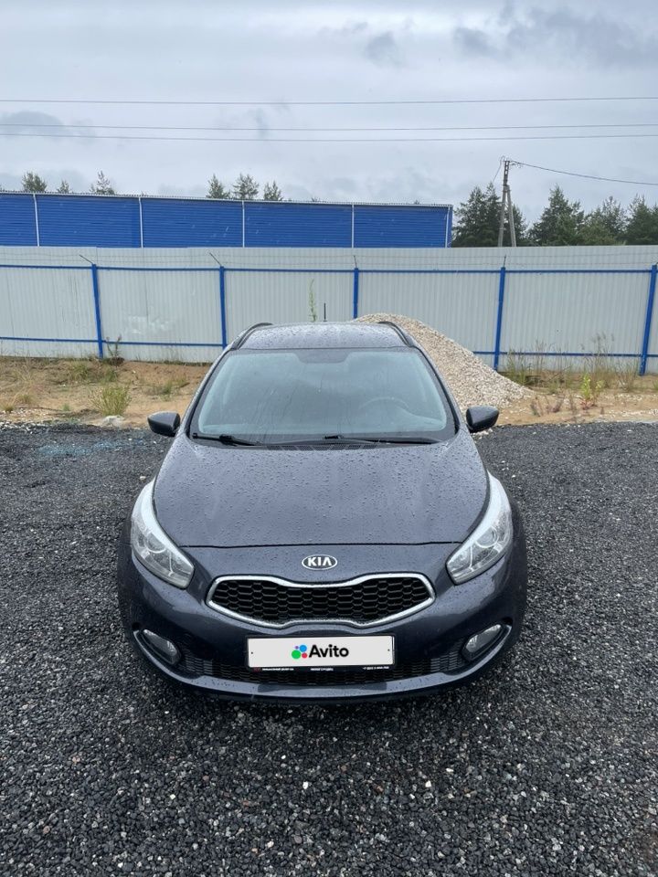 Kia Ceed: фото владельца