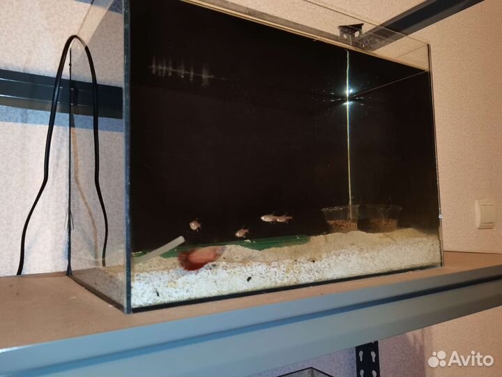 Аквариум со всем