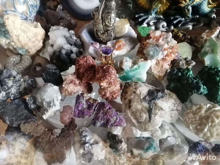 Минералы и окаменелости