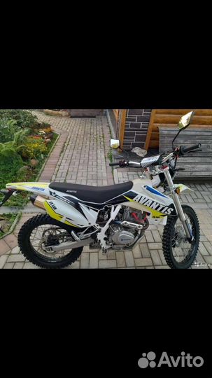 Avantis fx 250 lux