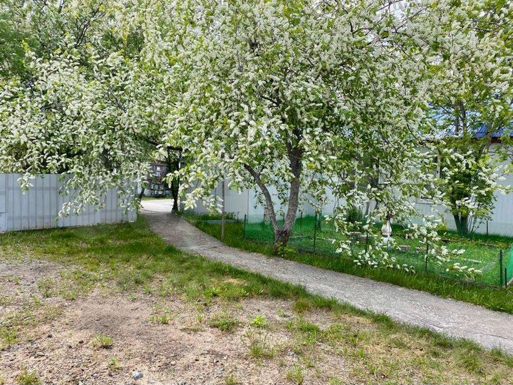 Дом 52,4 м² на участке 3,5 га