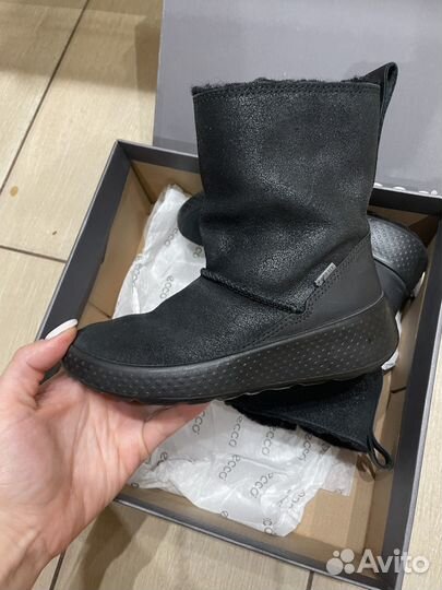 Сапоги демисезонные ecco