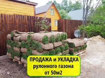 Рулонный газон. Продажа и Укладка