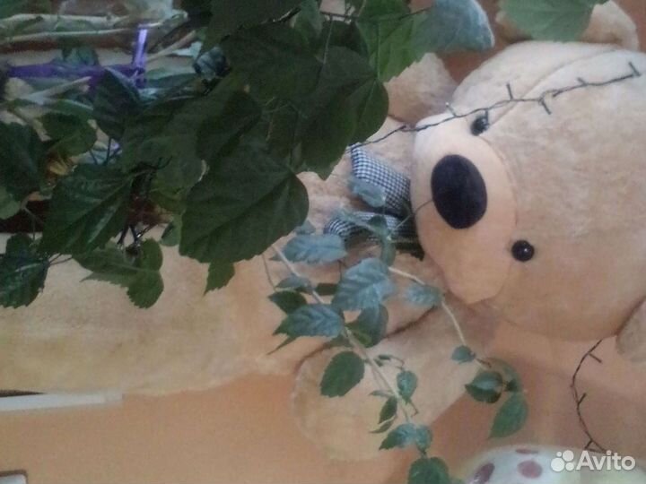 Мишка1.5 метра