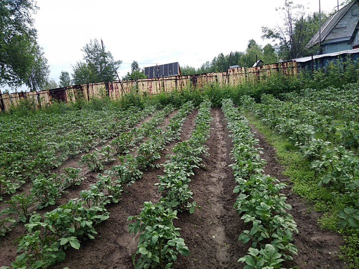 Дача 30 м² на участке 10 сот.