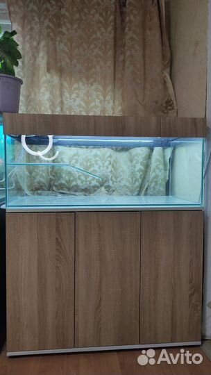 Акватеррариум