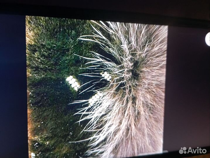 Шапка меховая песцовая