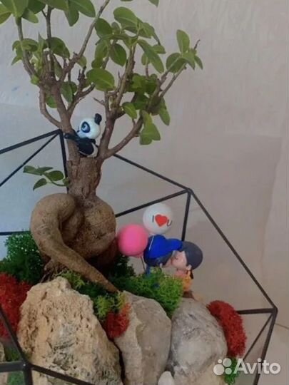 Флорариумы под заказ