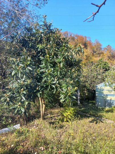 Дом 79,5 м² на участке 7 сот.