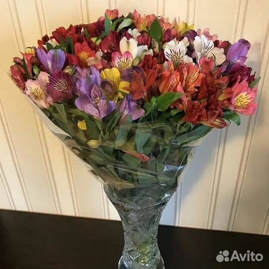 Букет цветы альстромерия