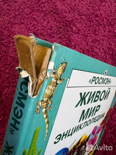 Энциклопедия