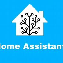 Home assistant сервер с встроенным zigbee